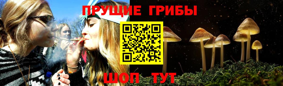 Галлюциногенные грибы Cubensis  Вход с VPN  Кисловодск 